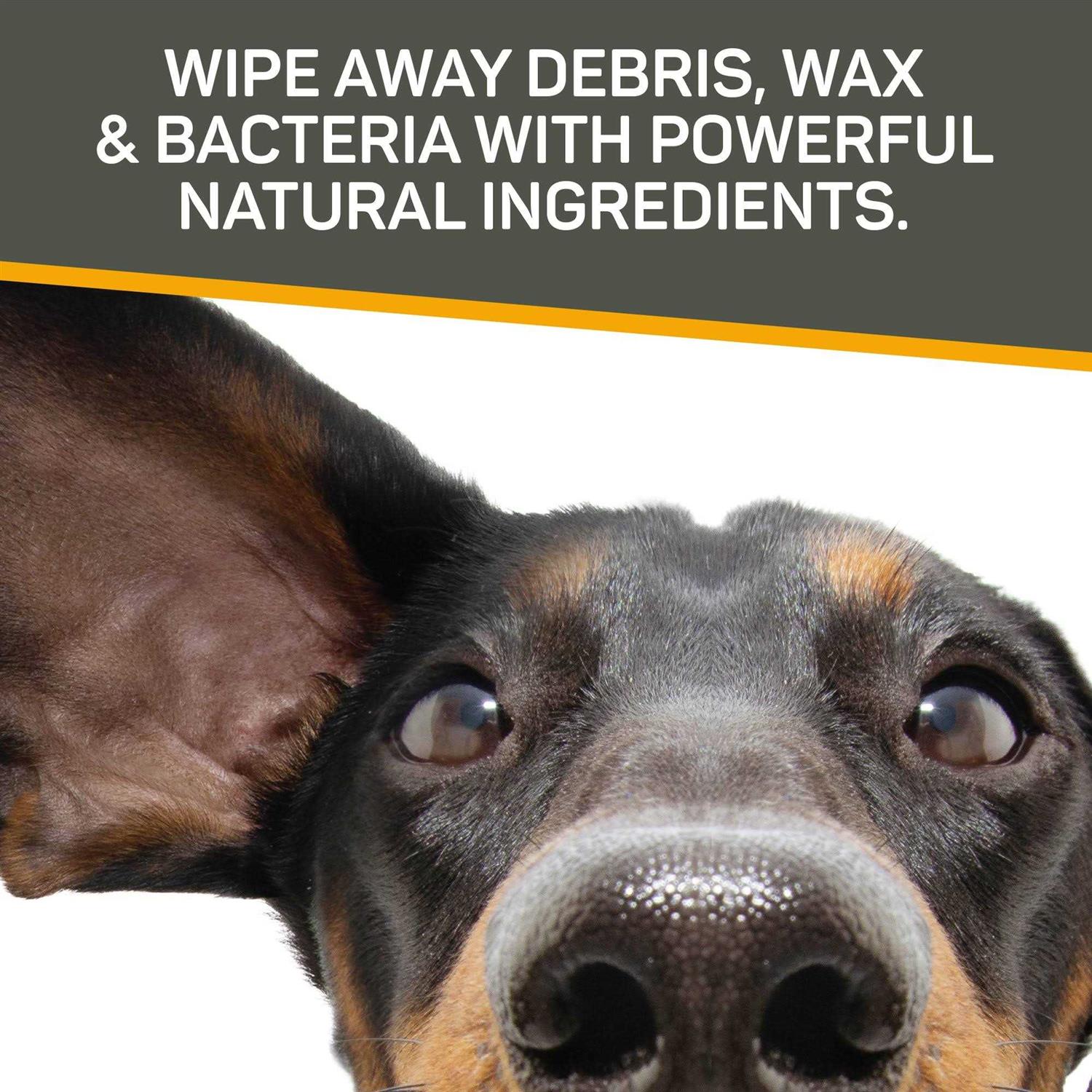 Silver Honey Rapid Ear Care Vet Strength Pet Wipes - Nail Gallerys
