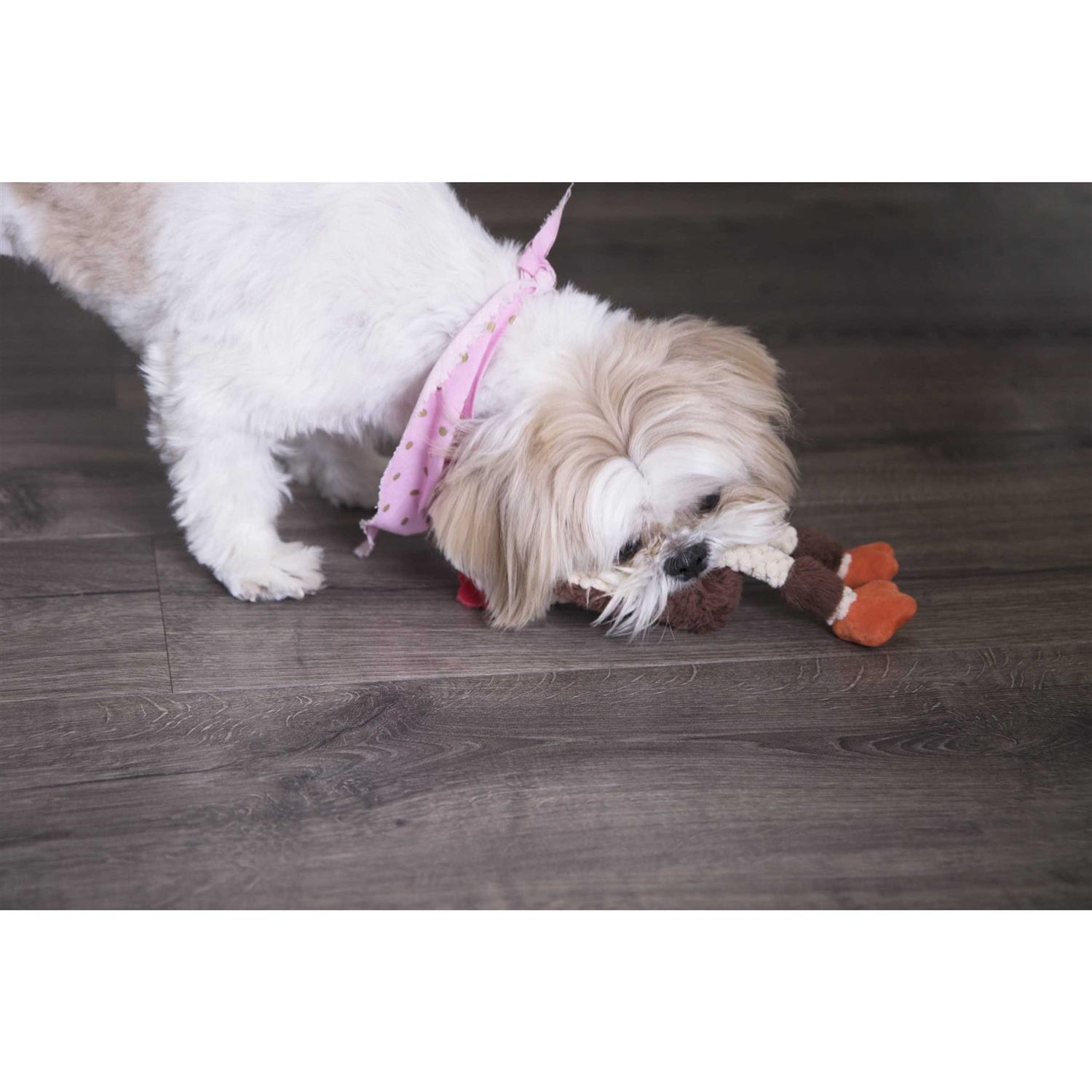 goDog Checkers Chew Guard Skinny Rooster Dog Toy - Nail Gallerys