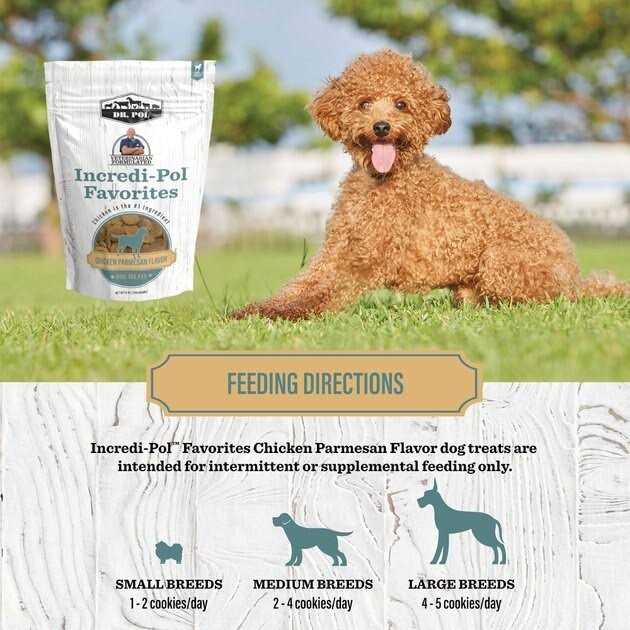 Dr. Pol Incredi-Pol Favorites Parmesan Chicken Flavor Crunchy Dog Treats - Nail Gallerys