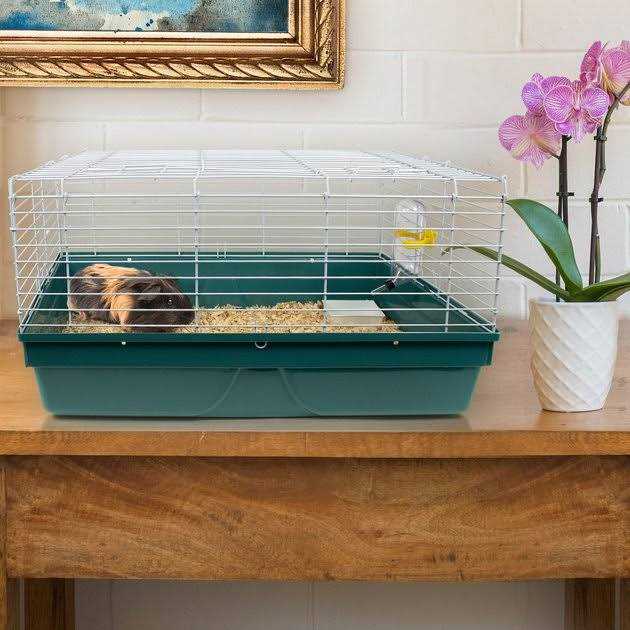 Pet Champion Small Animal Starter Kit - Nail Gallerys