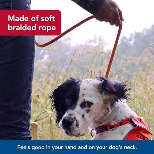Water & Woods Braided Rope Dog Slip Leash - Nail Gallerys