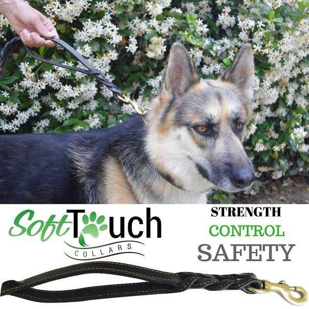 Soft Touch Collars 6 Foot Braided Leather Dog Leash with Traffic Handle, Two Handles for Training and Safety - Nail Gallerys