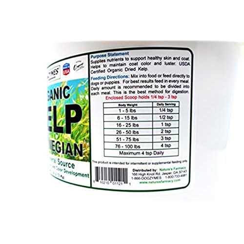 Dogzymes Organic Norwegian Kelp for Pets - Nail Gallerys