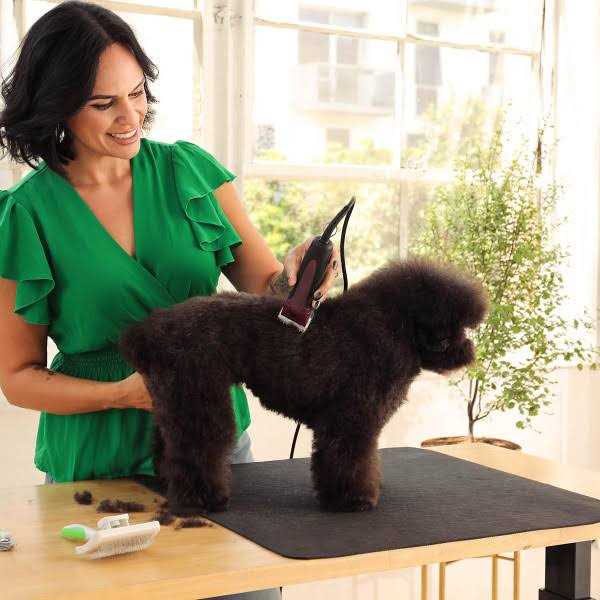 Andis Excel 5-Speed Detachable Blade Clipper Blue - Nail Gallerys