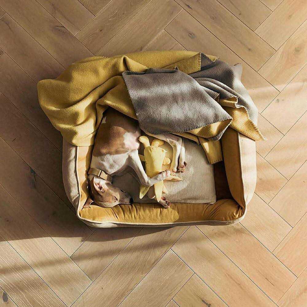 Dog Bed Square Bread - Nail Gallerys