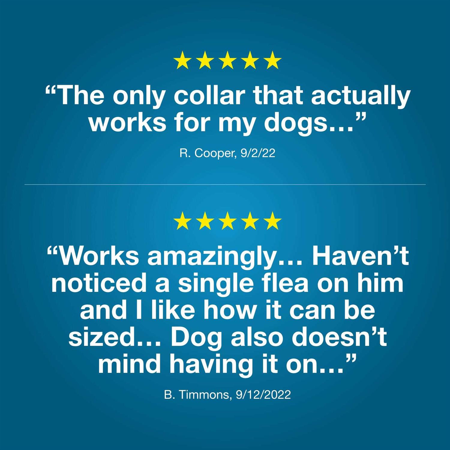 Bayer Seresto Flea and Tick Collar for Dogs - Nail Gallerys