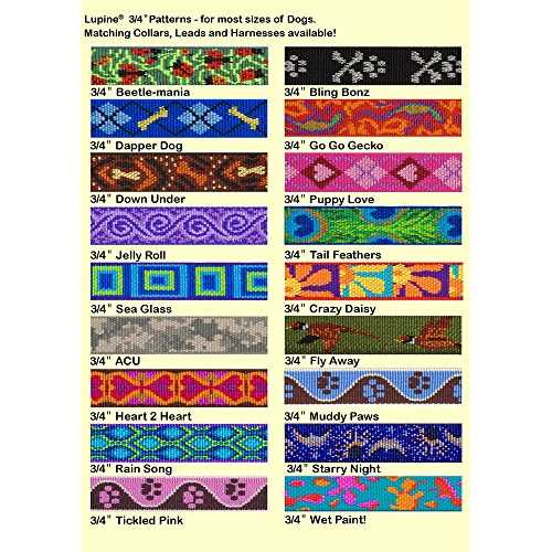 Original Designs Dog Collar - Nail Gallerys