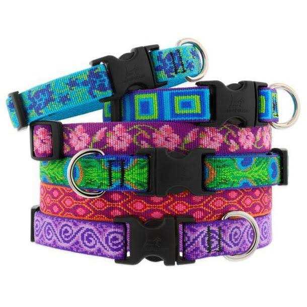 Lupine Dog Collar - Nail Gallerys