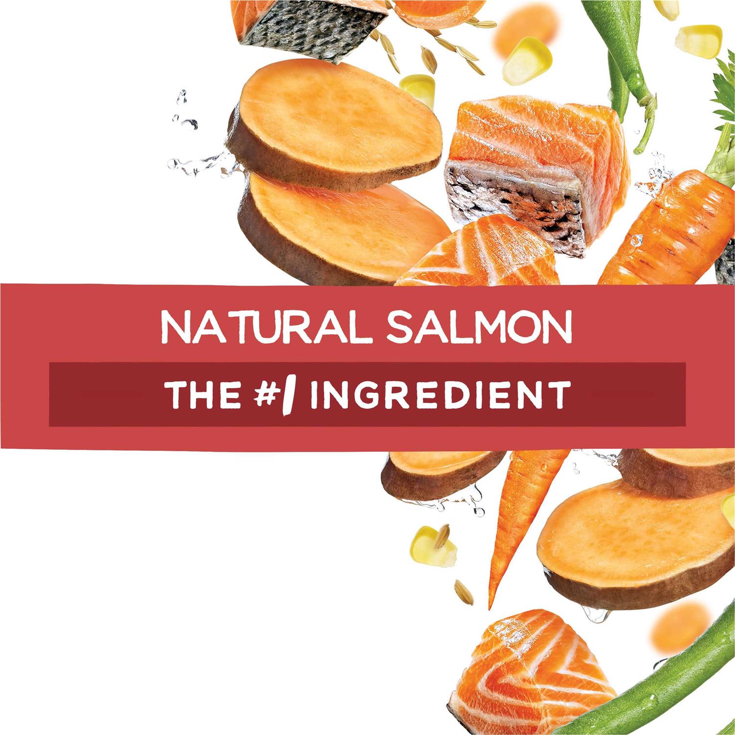 Purina Beneful Originals Salmon Dry Dog Food - Nail Gallerys