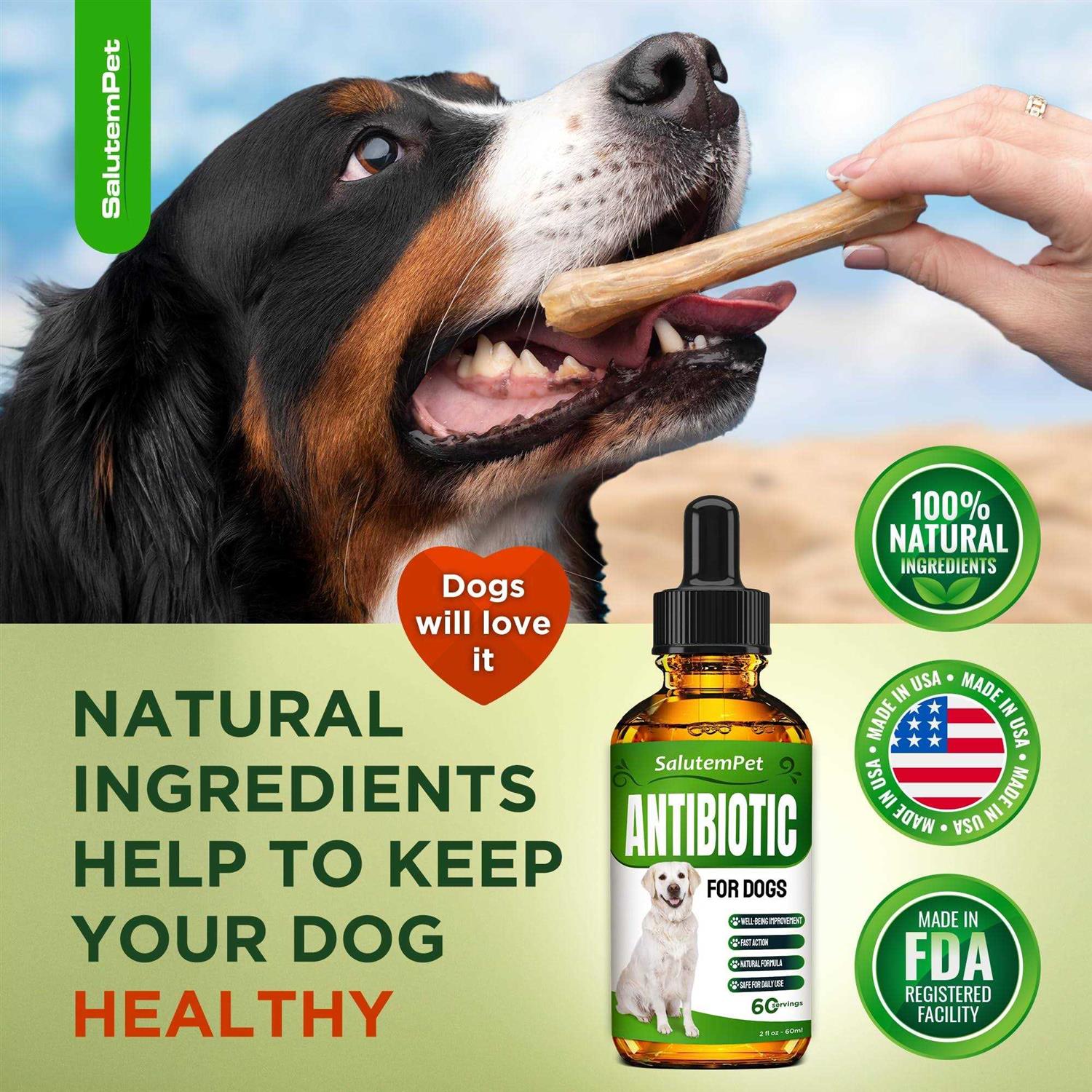 Natural Antibiotics for Dogs Dog Antibiotics Supports Dog Allergy Relief - Nail Gallerys