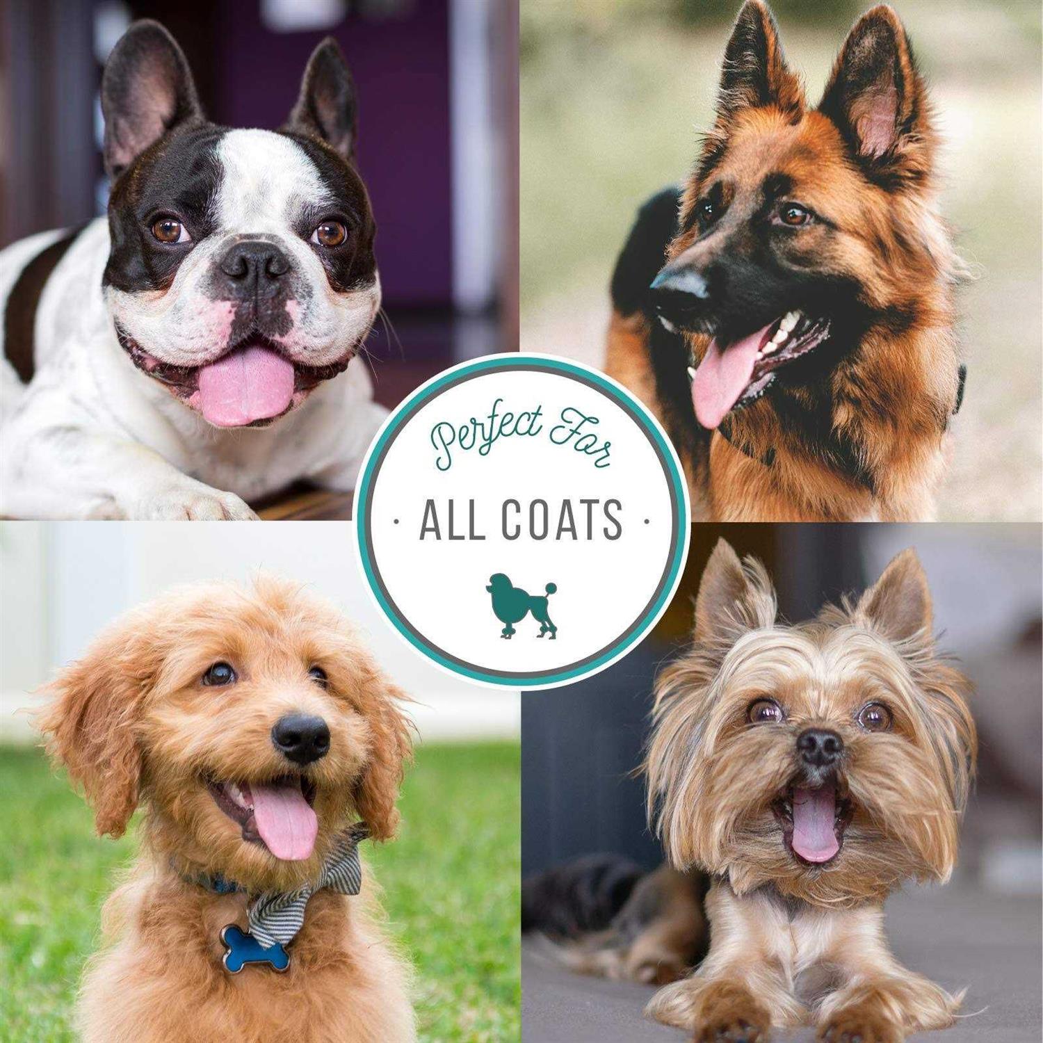 Nature’s Specialties Quick Relief Neem Shampoo for Pets - Nail Gallerys