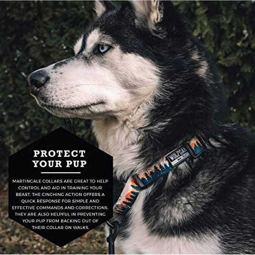 Wolfgang Martingale Dog Collar - Nail Gallerys