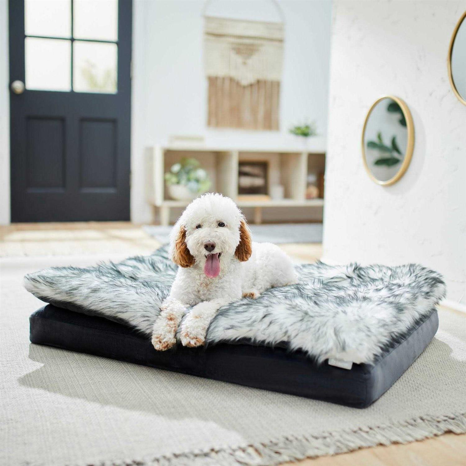 Frisco Plush Orthopedic Pillowtop Dog Bed w/Removable COVER - Nail Gallerys