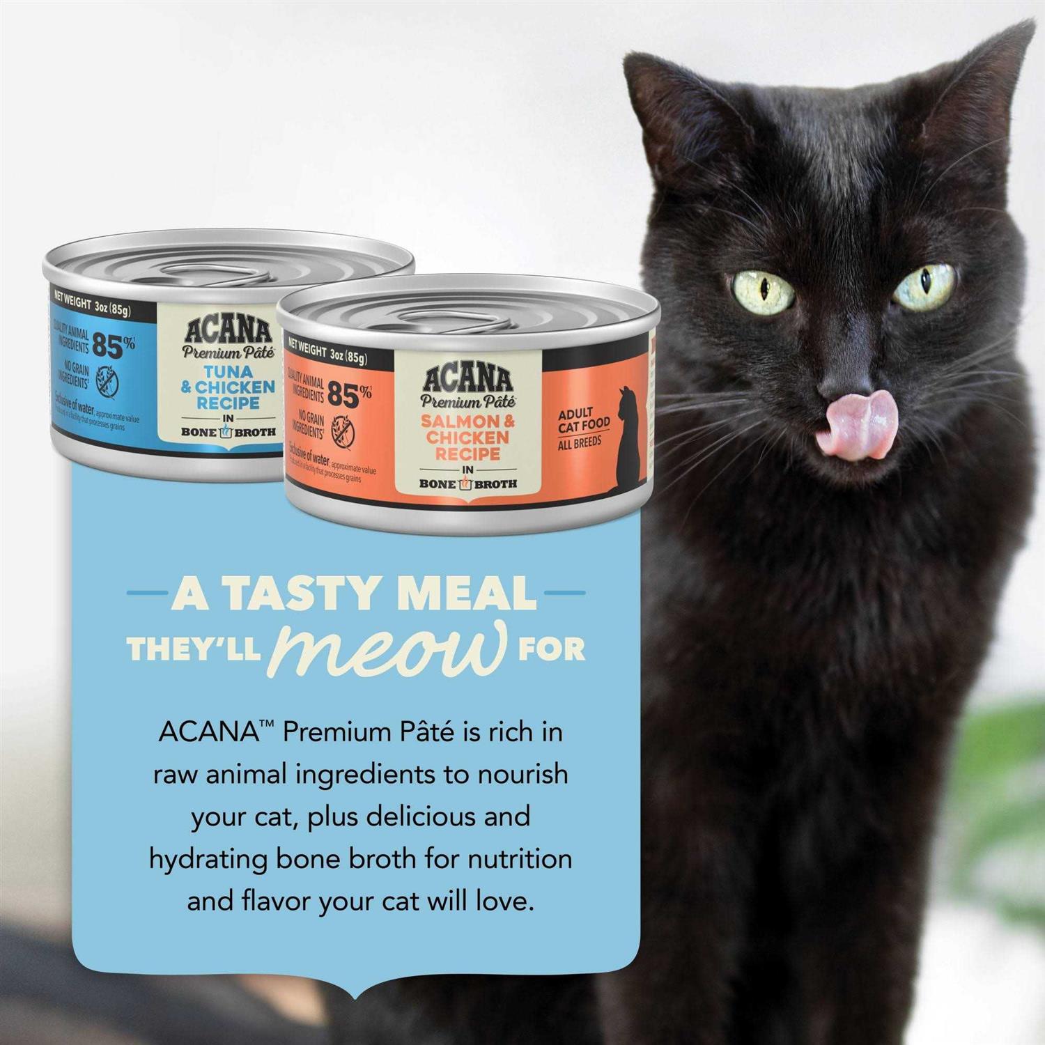 ACANA Premium Pate Variety Pack Wet Cat Food - Nail Gallerys