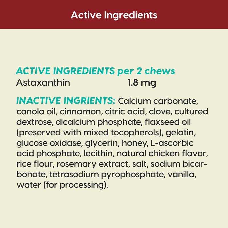 Ark Naturals Protection+ Brushless Toothpaste Fortified Dental Dog Chews - Nail Gallerys