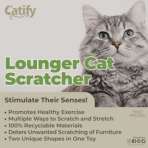 Catify by Best Pet Supplies - Nail Gallerys