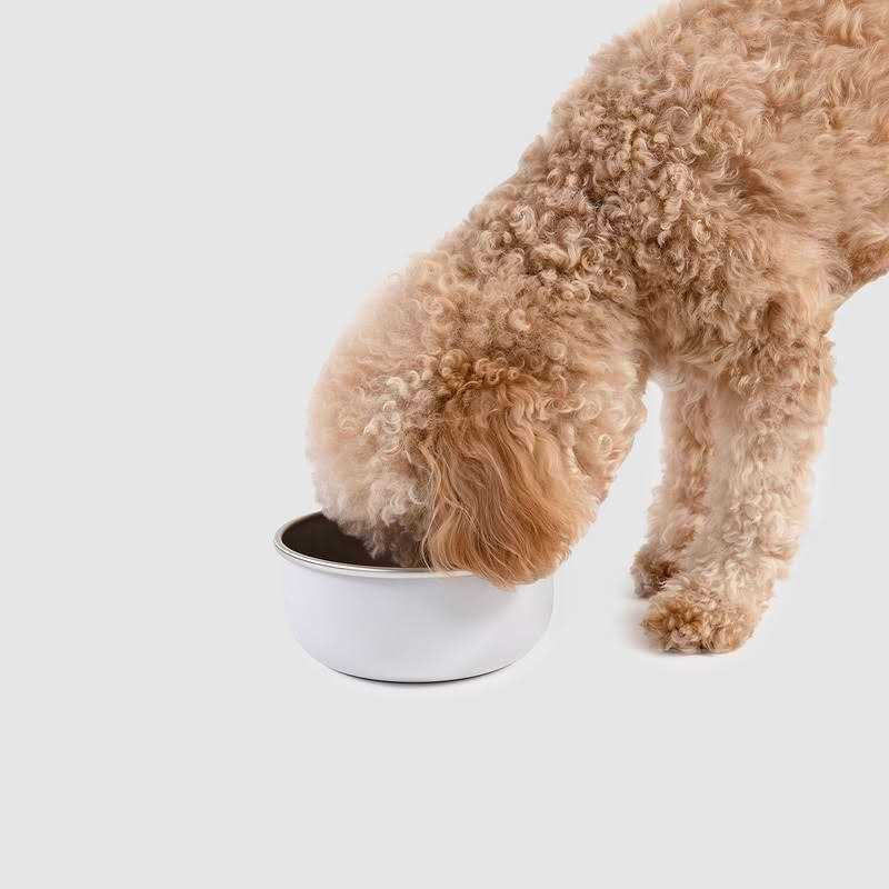 Diggs Bowl Ash Diggs Crate Clip - Nail Gallerys