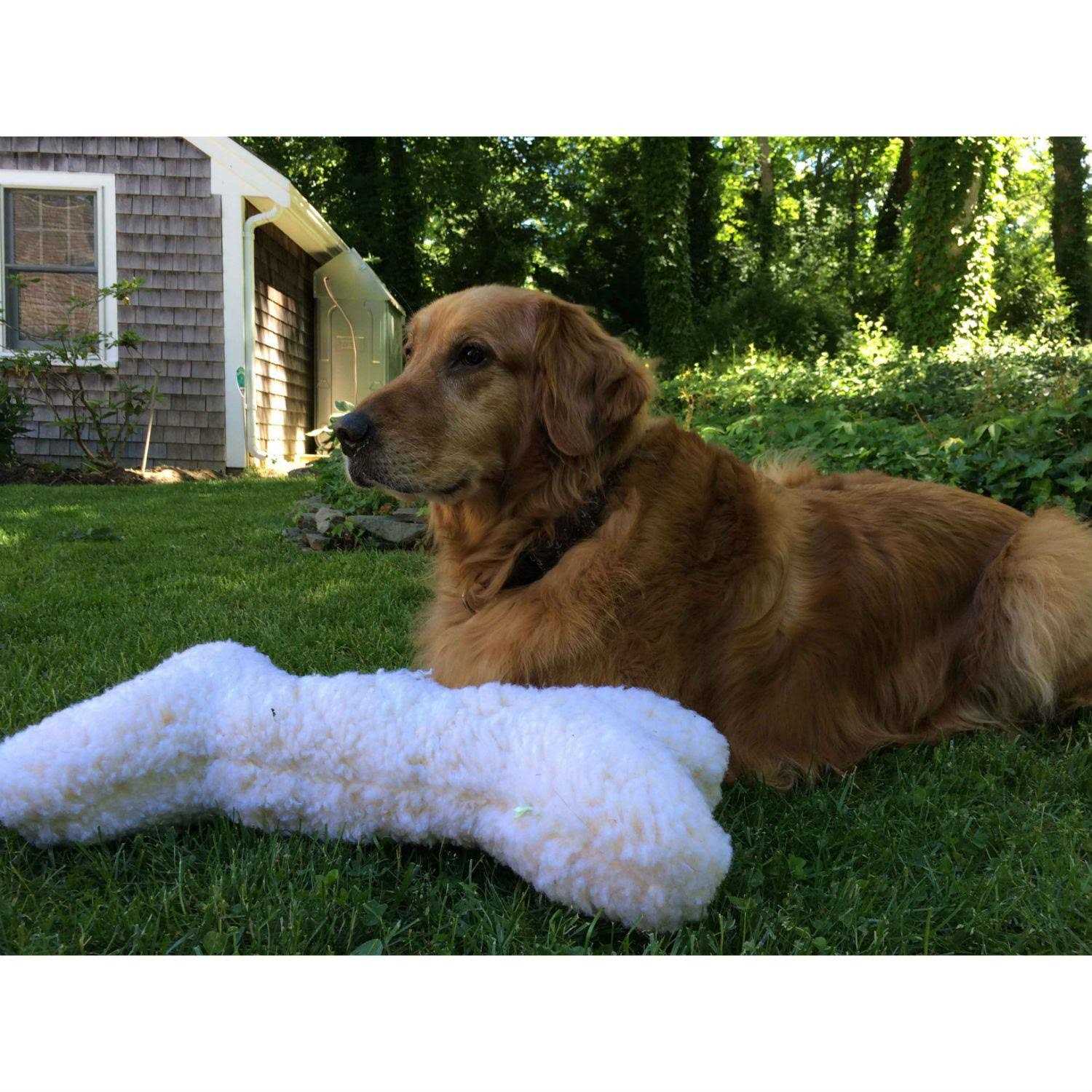 Hugglehounds HuggleFleece Bone with Invincible Squeaker Dog Toy - Nail Gallerys