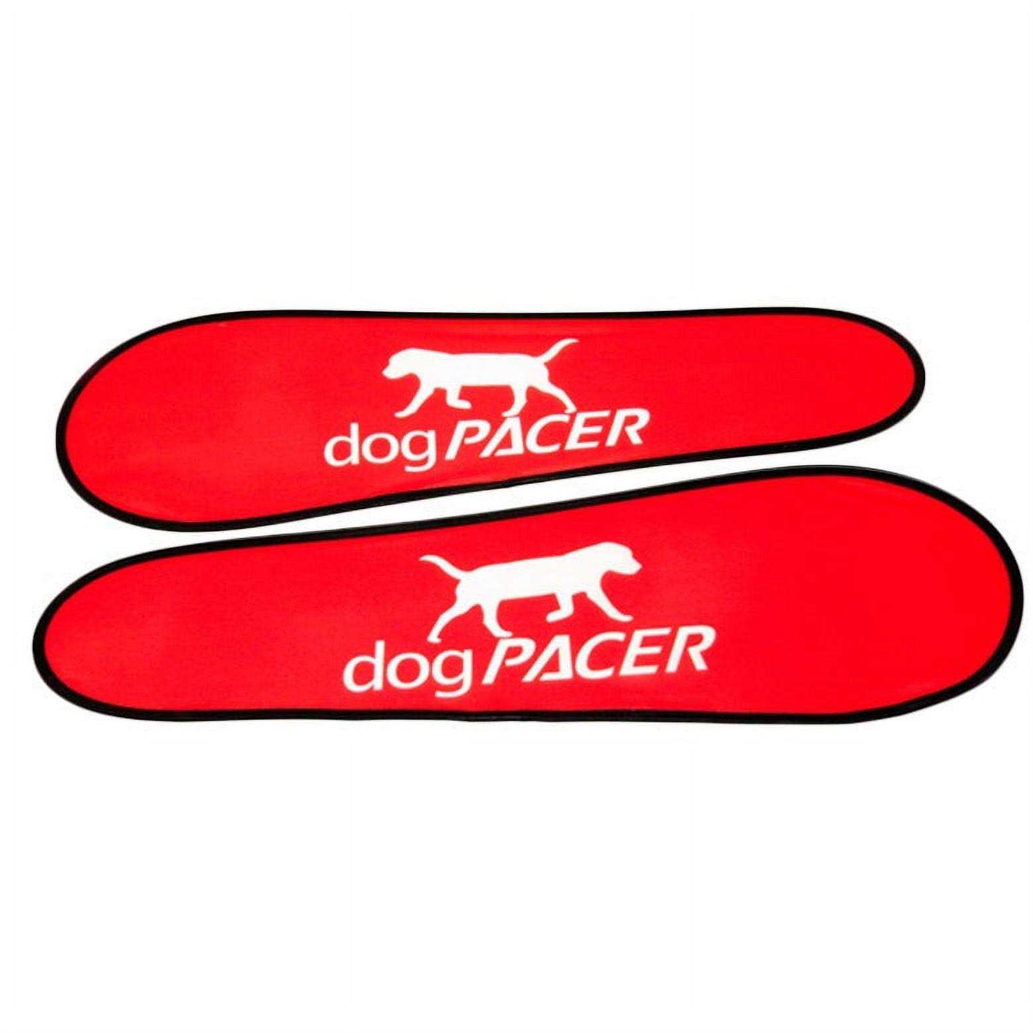 dogPACER LF 3.1 Dog Treadmill - Nail Gallerys