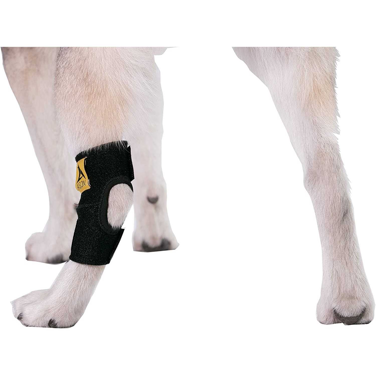 Agon Dog Canine Rear Hock Joint Brace Compression Wrap With Straps Dog For Back Leg Protects Wounds. Heals Prevents Injuries and Sprains Helps - Nail Gallerys