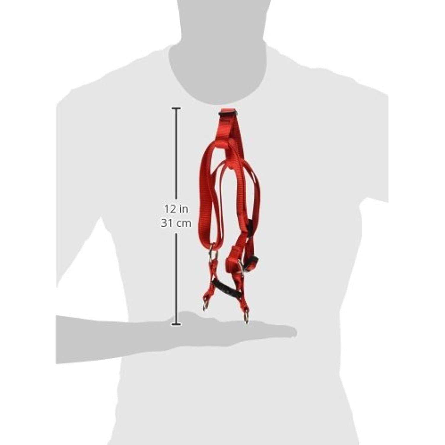 Lupine Dog Step in Harness - Nail Gallerys