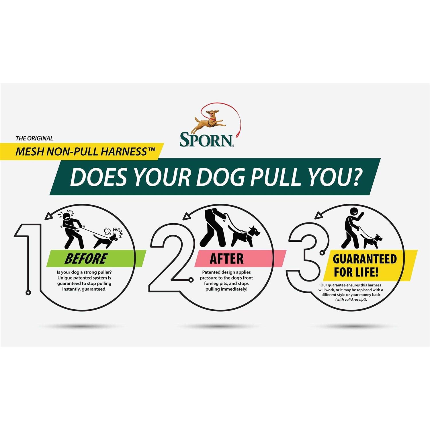 Sporn Mesh Non Pull Dog Harness - Nail Gallerys