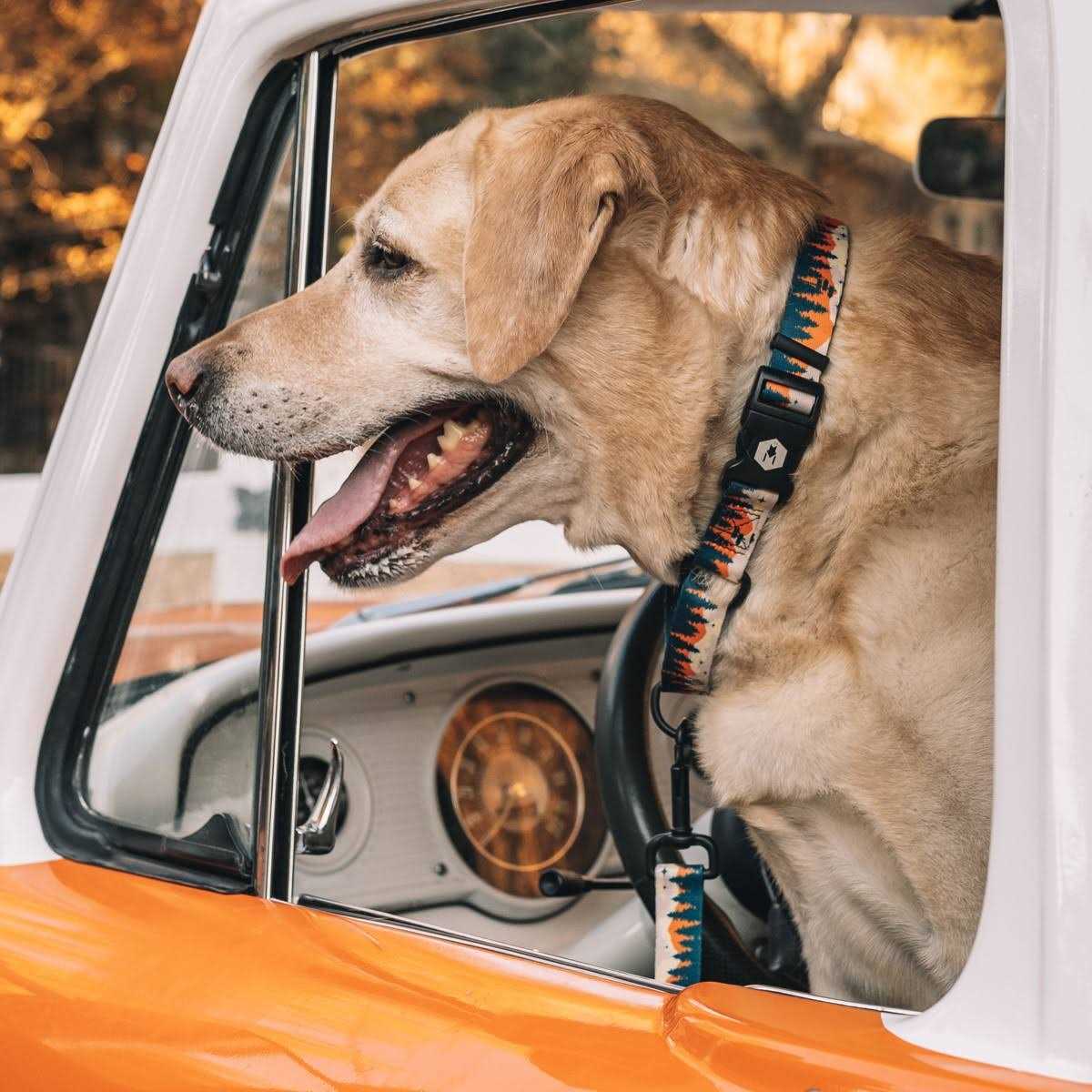 Wolfgang Martingale Dog Collar - Nail Gallerys