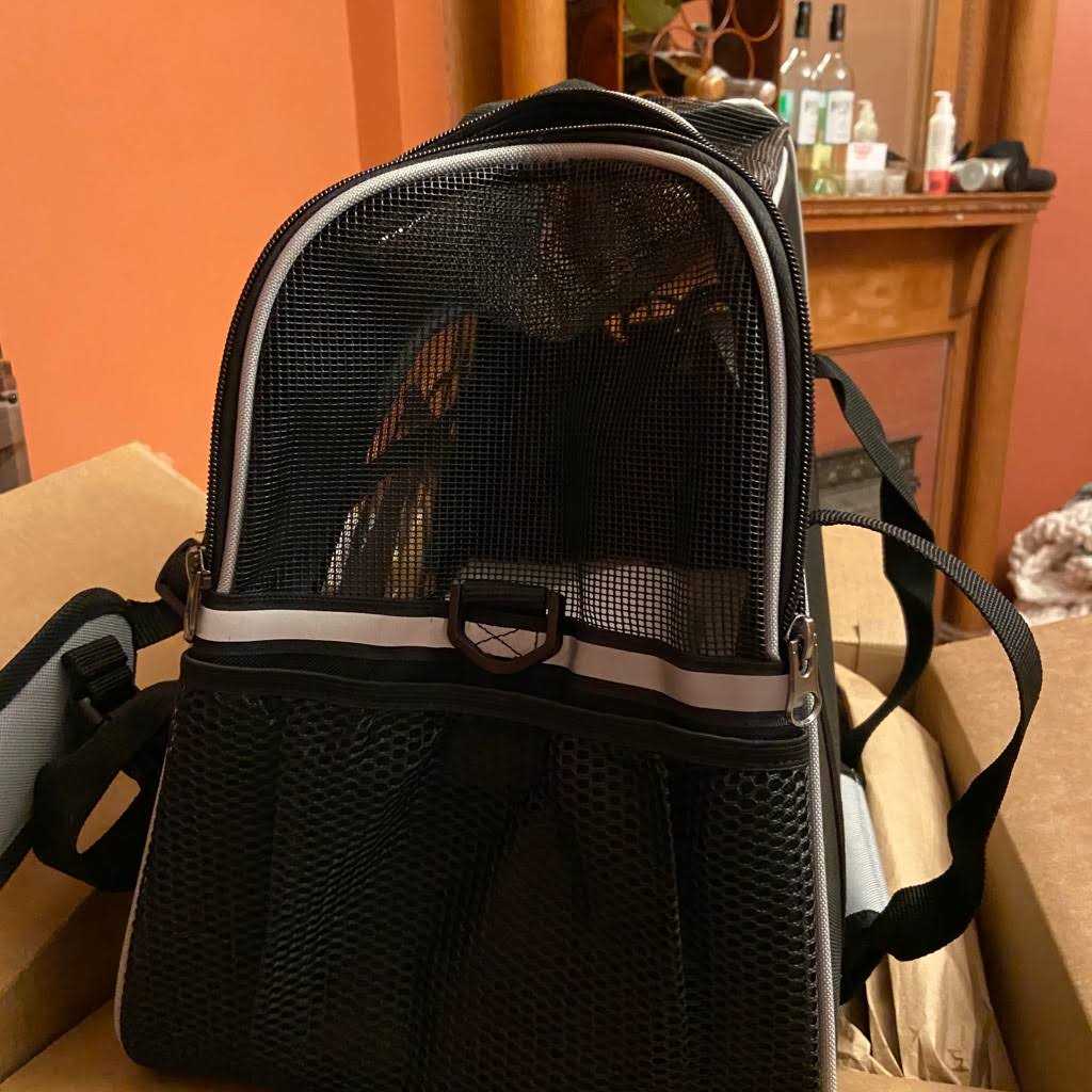 Frisco Basic Dog & Cat Carrier Bag - Nail Gallerys