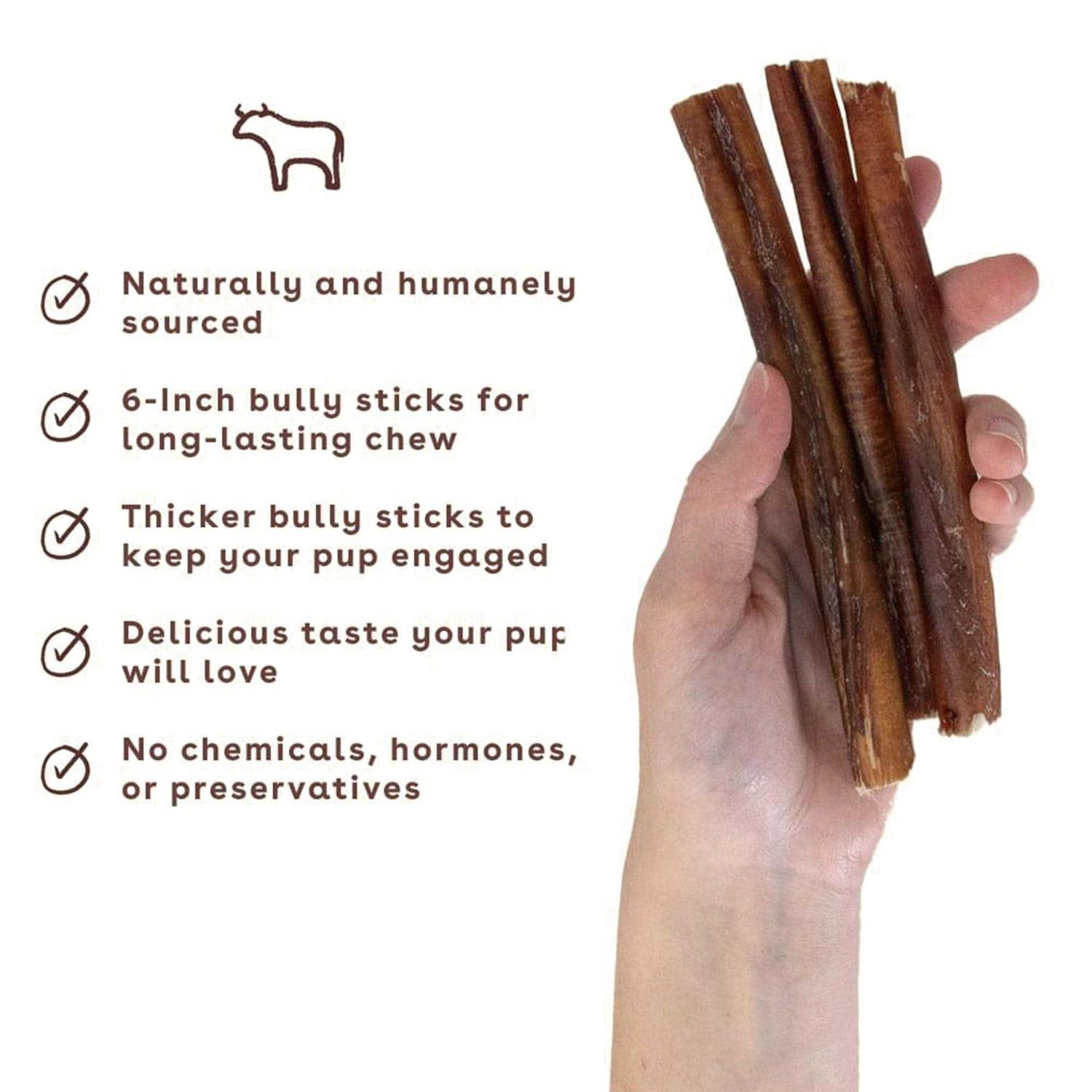 Pupford Bully Stick Dog Chew - Nail Gallerys