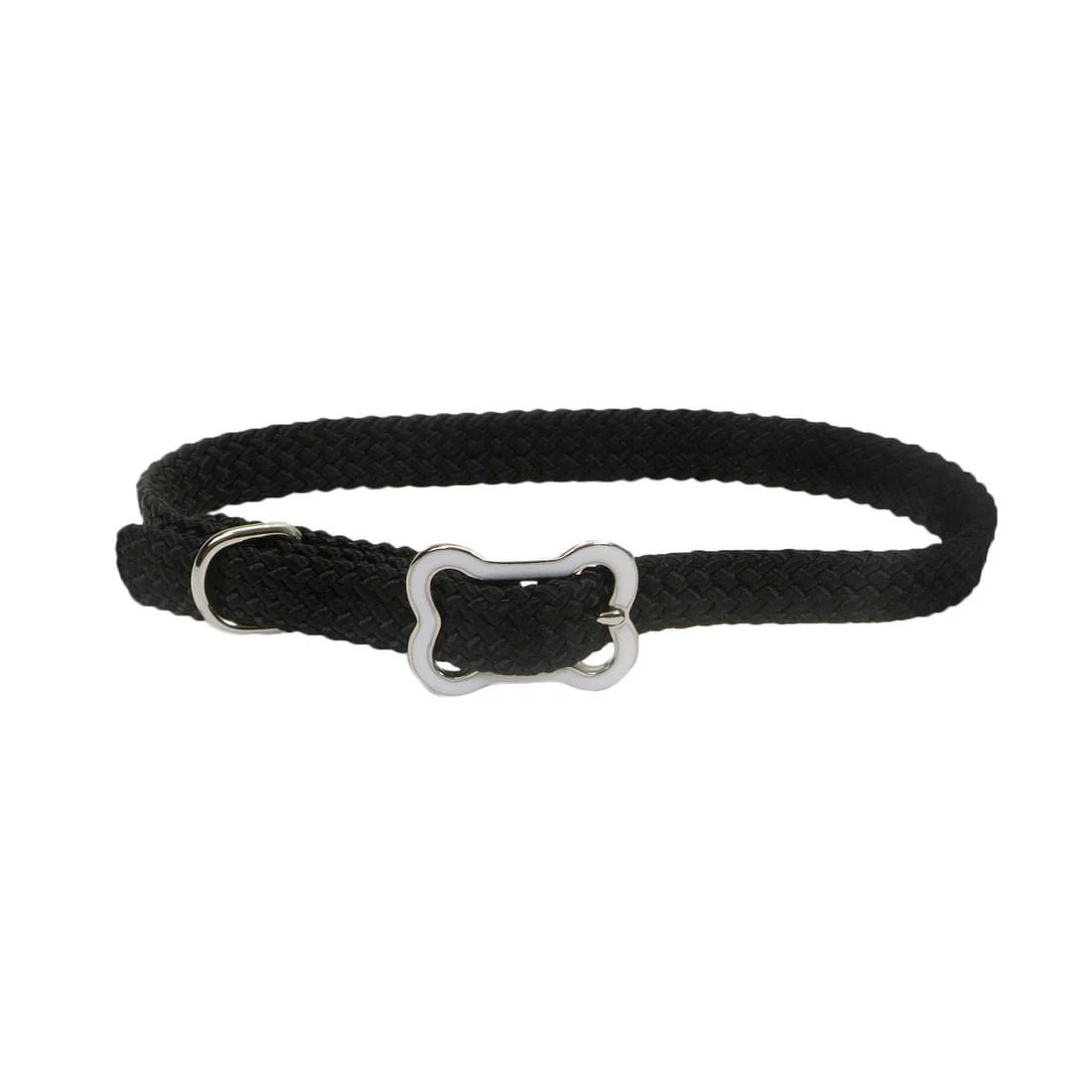 Sunburst Dog Collar with Bone Buckle - Nail Gallerys