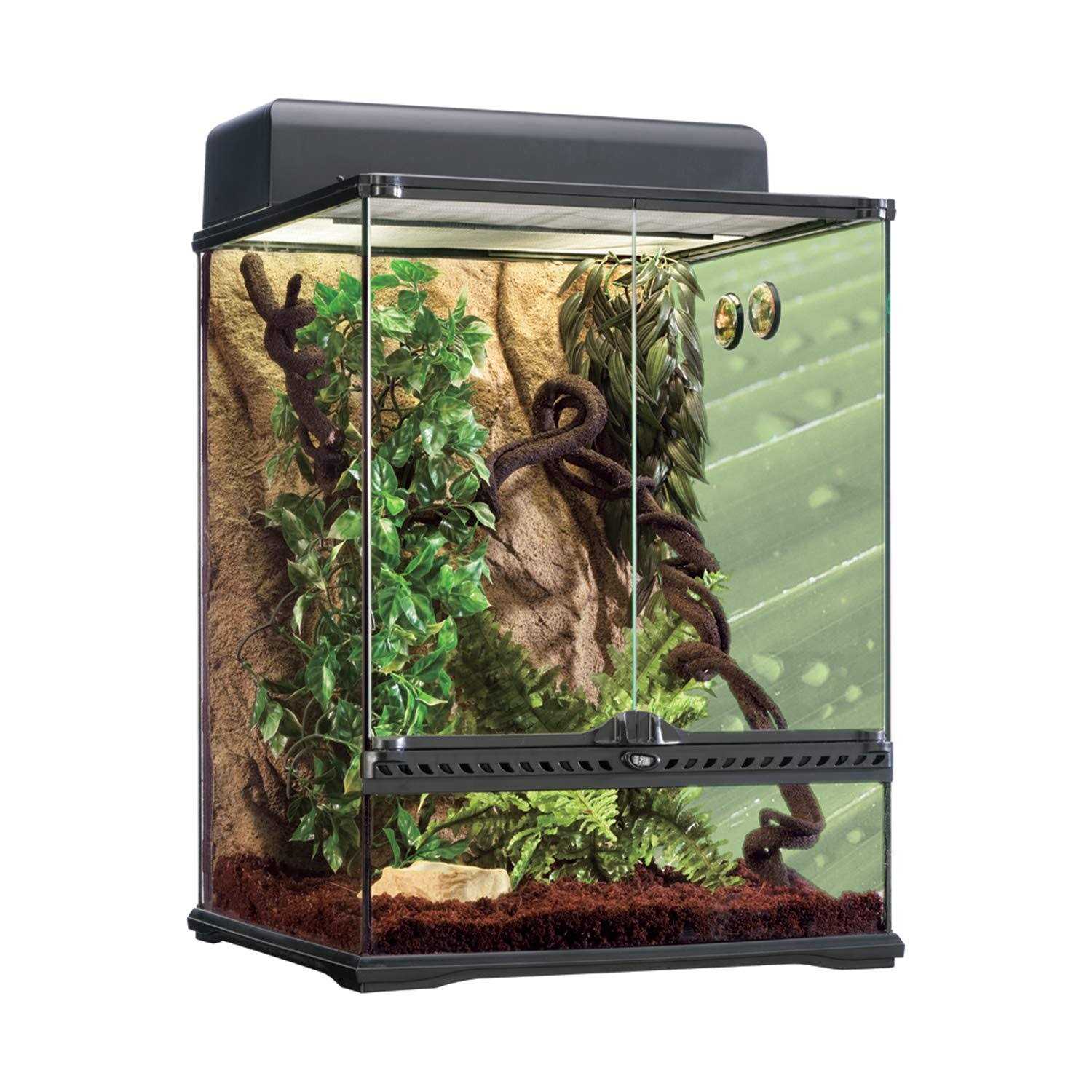 Exo Terra Rainforest Habitat Kit - Nail Gallerys