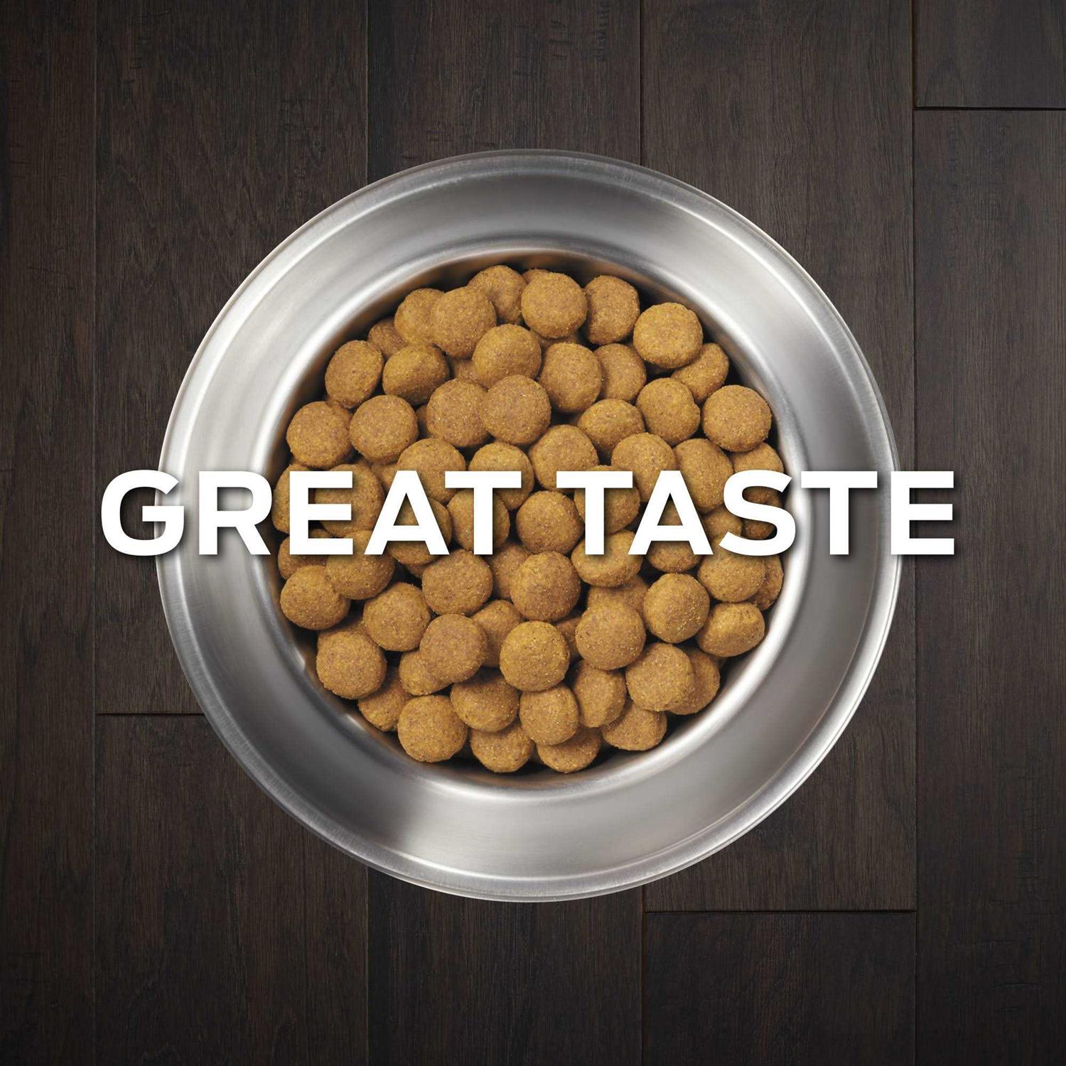 Purina Pro Plan Veterinary Diets DH Dental Health Formula Dry Dog Food - Nail Gallerys