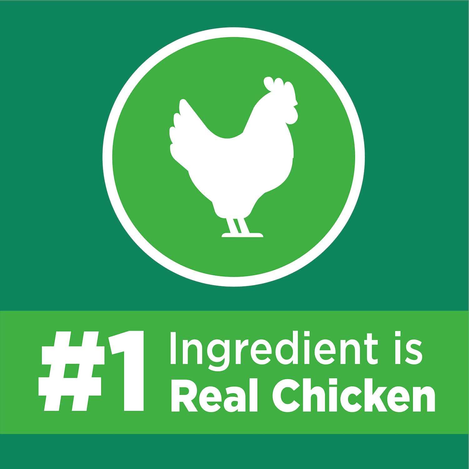 IAMS ProActive Lively Senior Dry Cat Food - Nail Gallerys