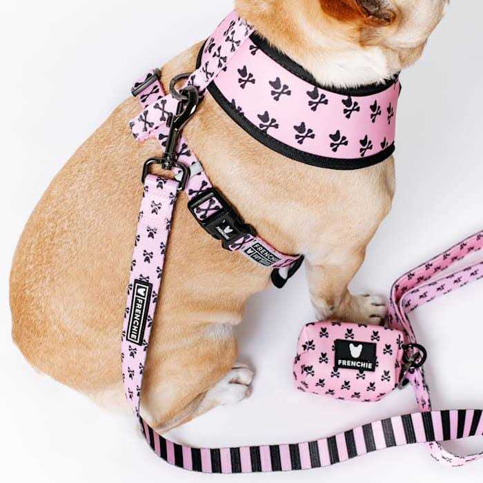 Frenchie Duo Reversible Harness - Nail Gallerys