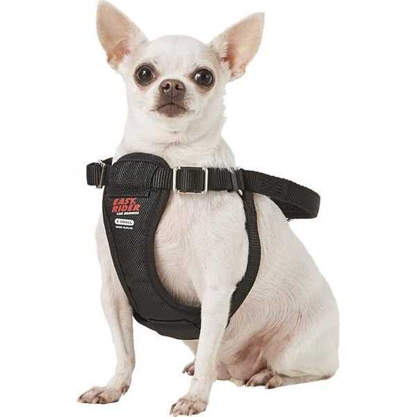 Coastal Pet Easy Rider Car Harness - Nail Gallerys