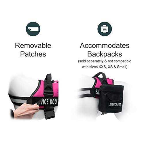 Industrial Puppy Service Dog Vest with Hook and Loop Straps & Matching Service Dog Leash Set - Nail Gallerys