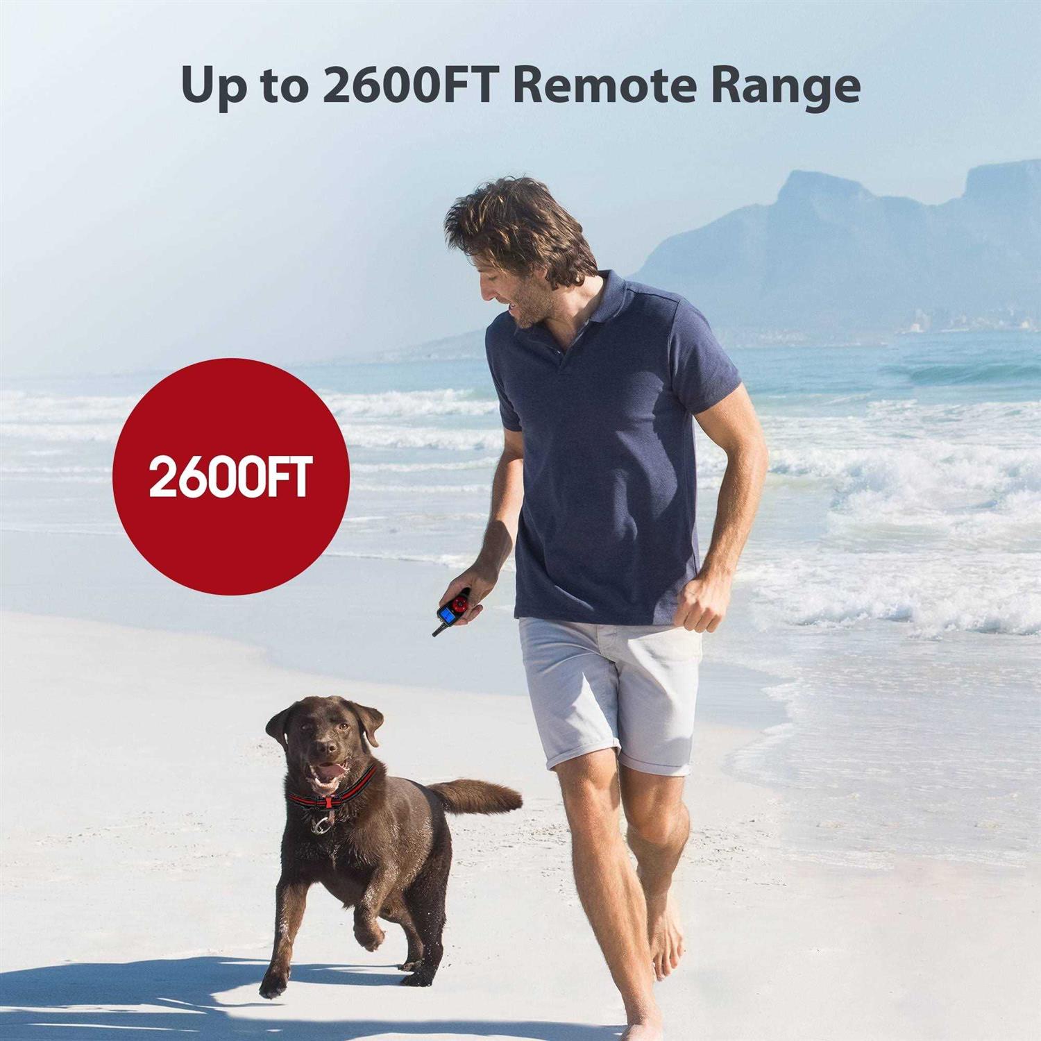 Petdiary Remote Training Shock Dog Collar - Nail Gallerys