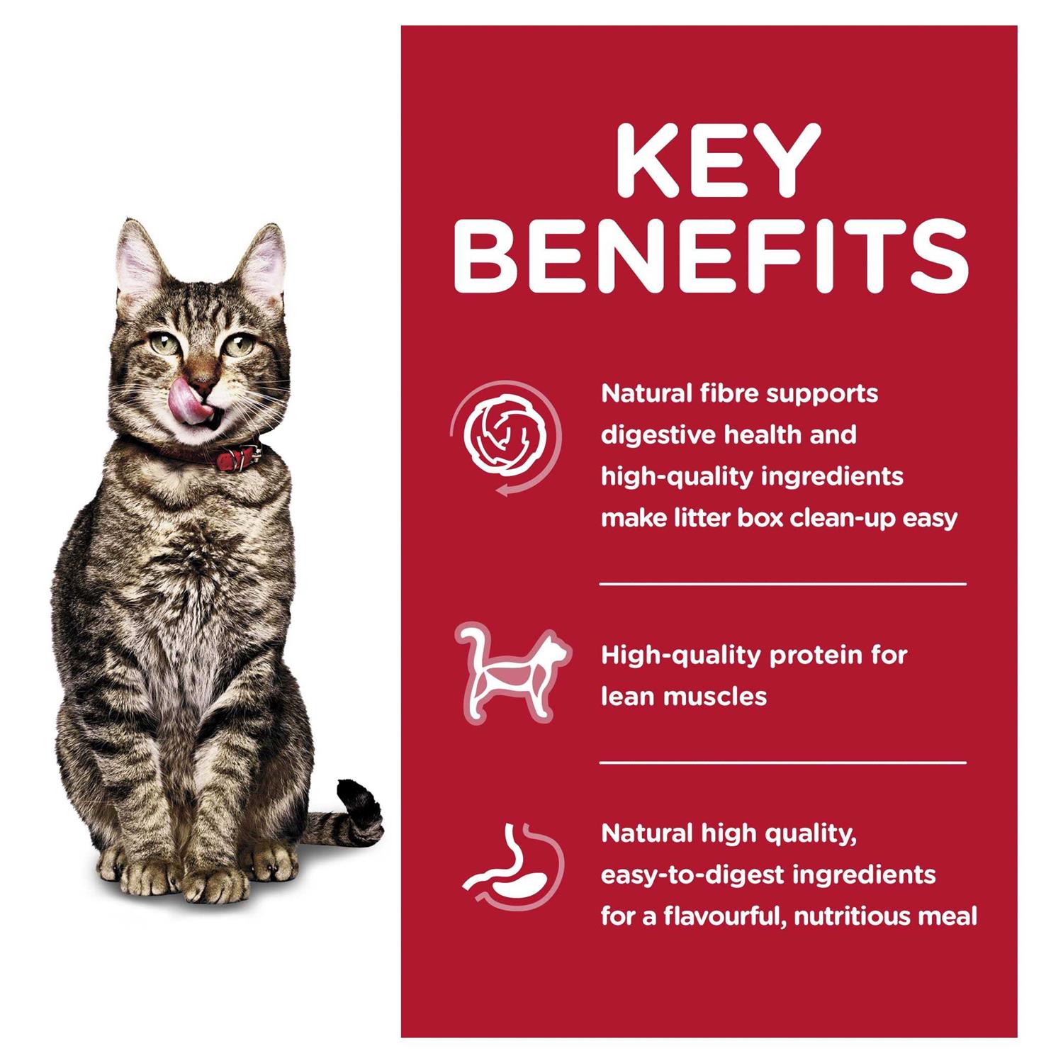 Hill’s Science Diet Adult 7+ Indoor Dry Cat Food - Nail Gallerys