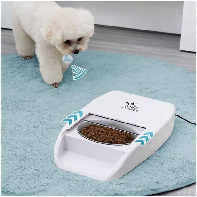 MPM Automatic Microchip Pet Feeder Multi-Pet Cat Dog Feeder - Nail Gallerys