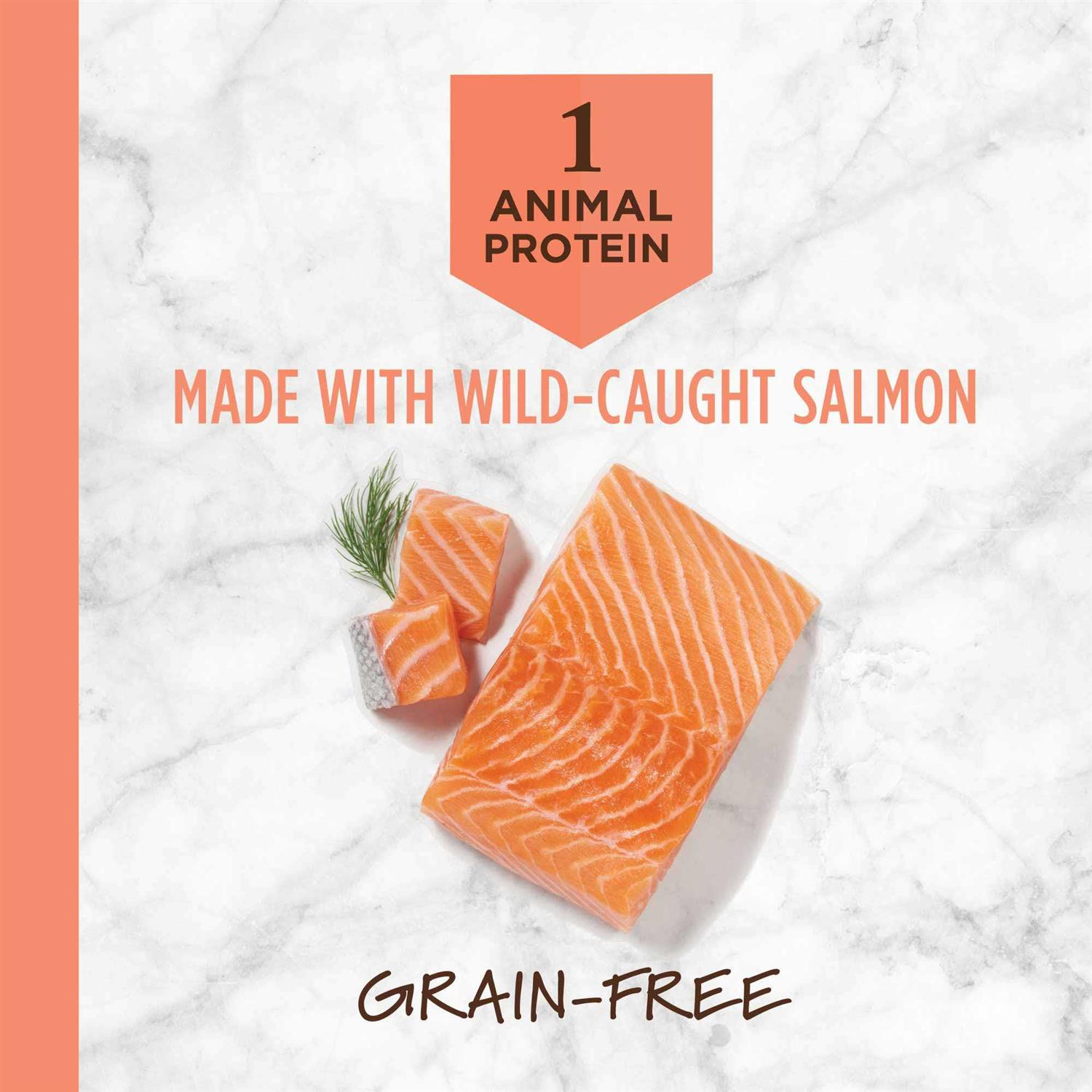 Instinct Limited Ingredient Diet Grain Free Recipe with Real Salmon Dry Cat Food - Nail Gallerys