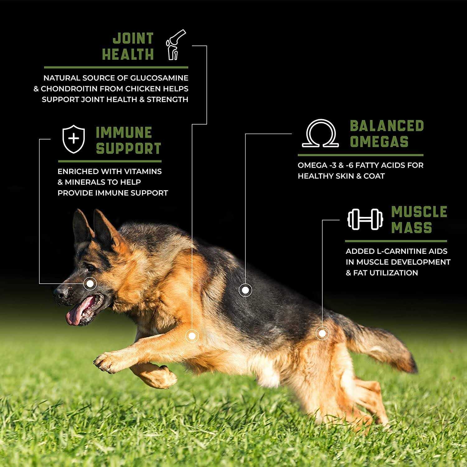 Sportmix CanineX Grain-Free Performance Chicken Dry Dog Food - Nail Gallerys