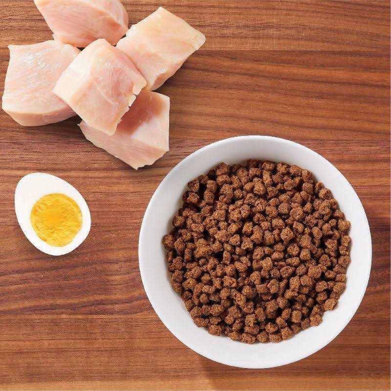 Iams ProActive Health Dry Kitten Food - Nail Gallerys