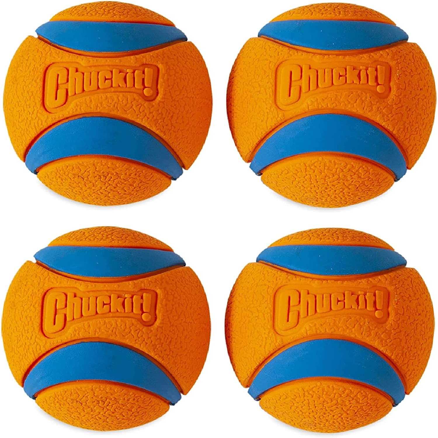 Chuckit! Canister Ultra Ball Dog Toy - Nail Gallerys
