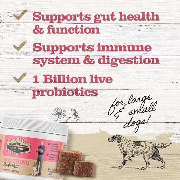 Dr. Pol Probiotic Chews for Dogs Small & Medium - Nail Gallerys