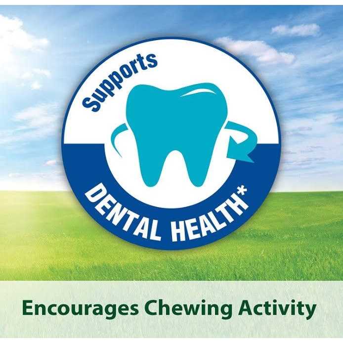 Kaytee Forti-Diet Pro Health Mouse & Rat Food - Nail Gallerys