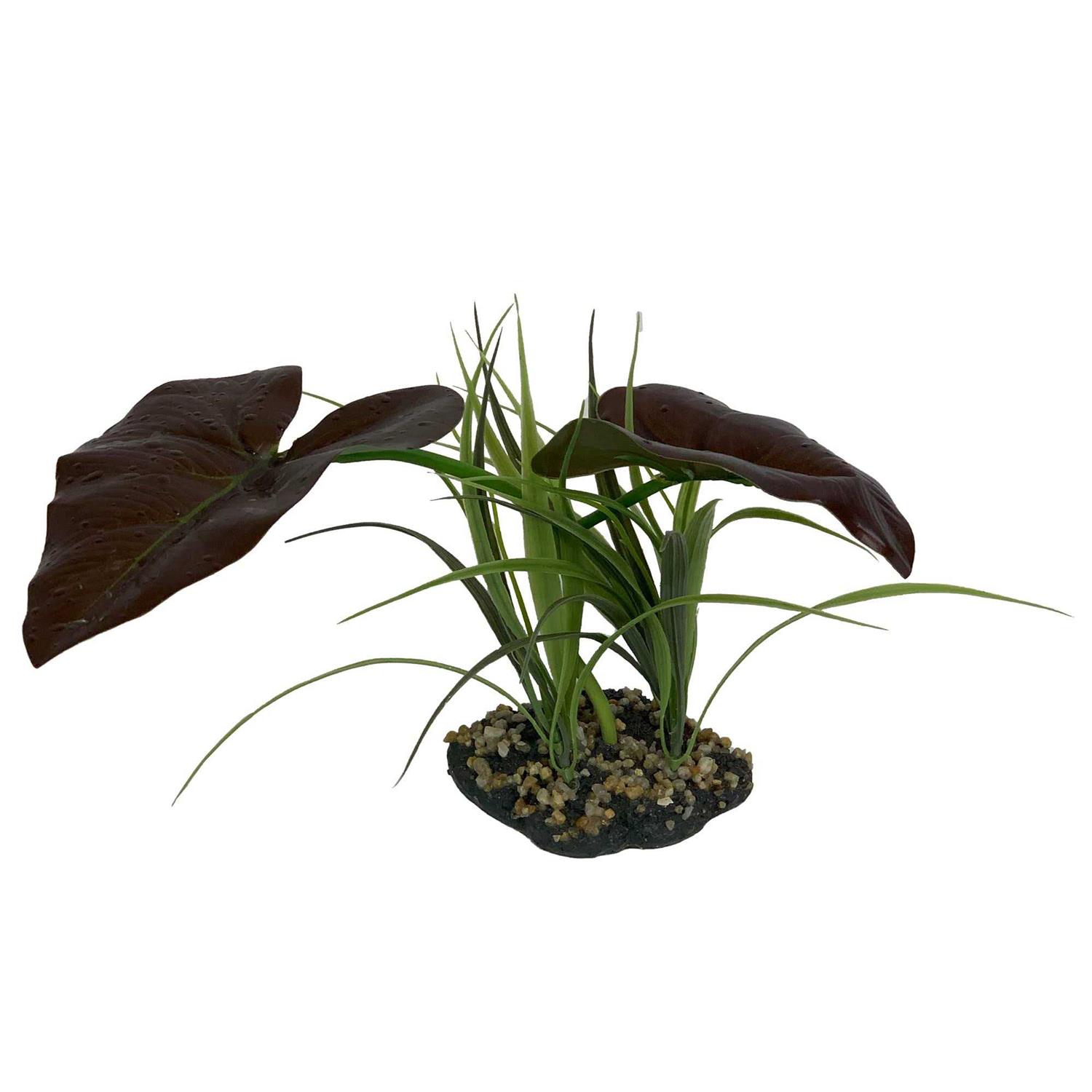 Komodo Rainforest Canopy Plant - Nail Gallerys