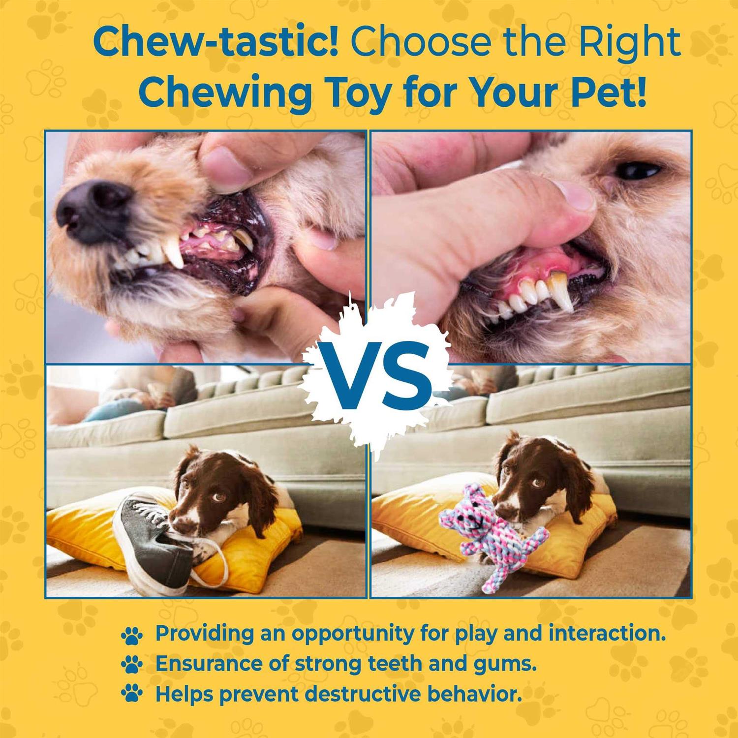 SunGrow Teddy Bear teething Toy, for ferret & dogs, knotted soft cotton rope material, for puppies and Small breeds - Nail Gallerys