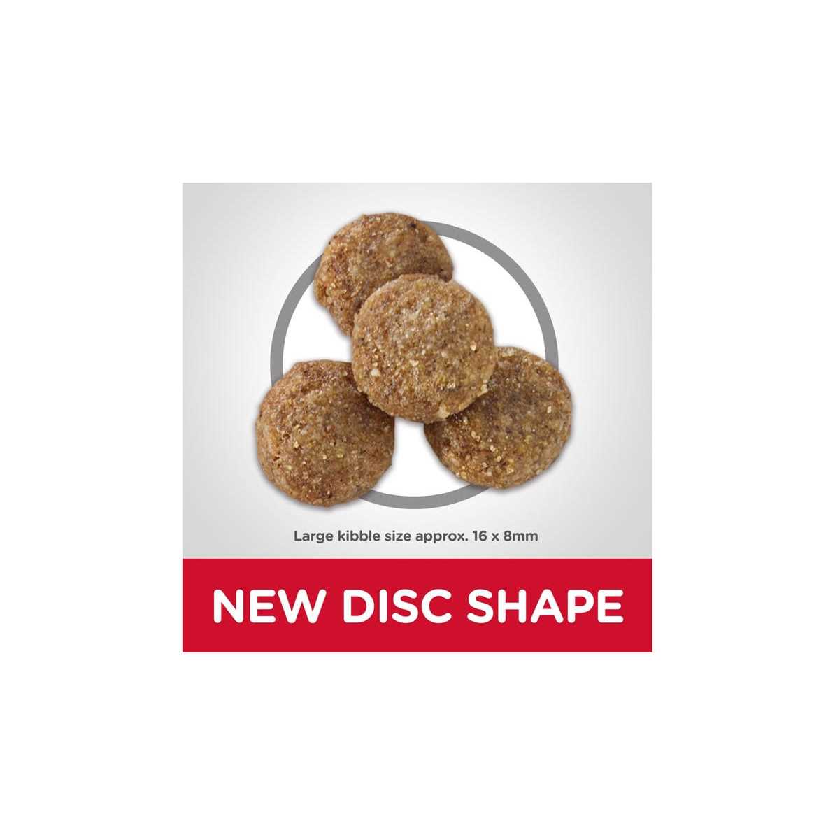 Hill’s Science Diet Adult 6+ Large Breed Chicken Meal Dry Dog Food - Nail Gallerys