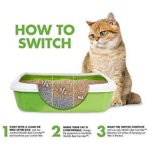 World’s Best Cat Litter Multiple Cat Lotus Blossom Scented - Nail Gallerys