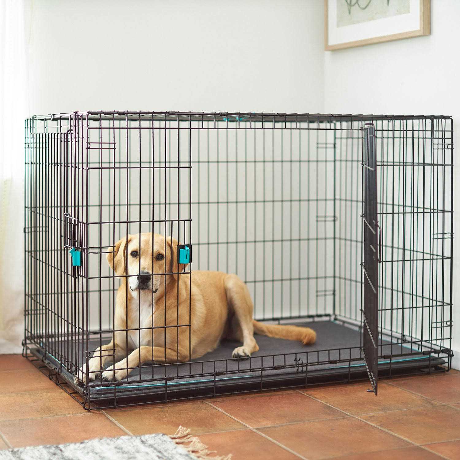 Frisco Enhanced Lock Double Door Fold Carry Wire Dog Crate Mat Kit - Nail Gallerys